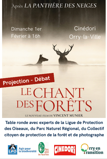 CINEDORI : LE CHANT DES FORÊTS